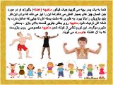 pxda_muscles-1-11.jpg