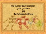 q897_body-skeleton-1-1.jpg