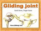 q9cr_body-skeleton-13-6.jpg
