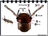 rl49_insects-14-7.jpg