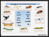 sh2b_invertebrate_project-6-3.jpg