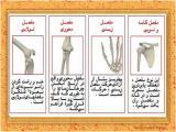 st8j_body-skeleton-13-11.jpg