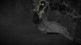 te3o_shadowofthecolossus-5.jpg