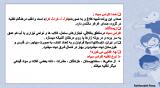 trvs_stork-5-12.jpg