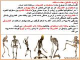 ugwh_body-skeleton-1-15.jpg