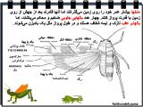un8t_insects-11-12.jpg