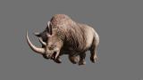 usgx_image_far_cry_primal-30365-3404_0007.jpg