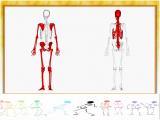 vpku_body-skeleton-1-17.jpg