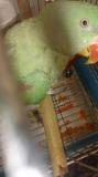 w5yq_photo_2017-12-11_20-33-44.jpg