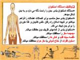 wcwq_body-skeleton-1-6.jpg