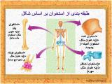 y7eb_body-skeleton-3-5.jpg