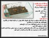 yumb_invertebrate_project-2-4.jpg