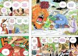 z480_one-piece-2753359.jpg