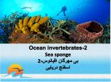 zg2_ocean_invertebrates-2-1.jpg